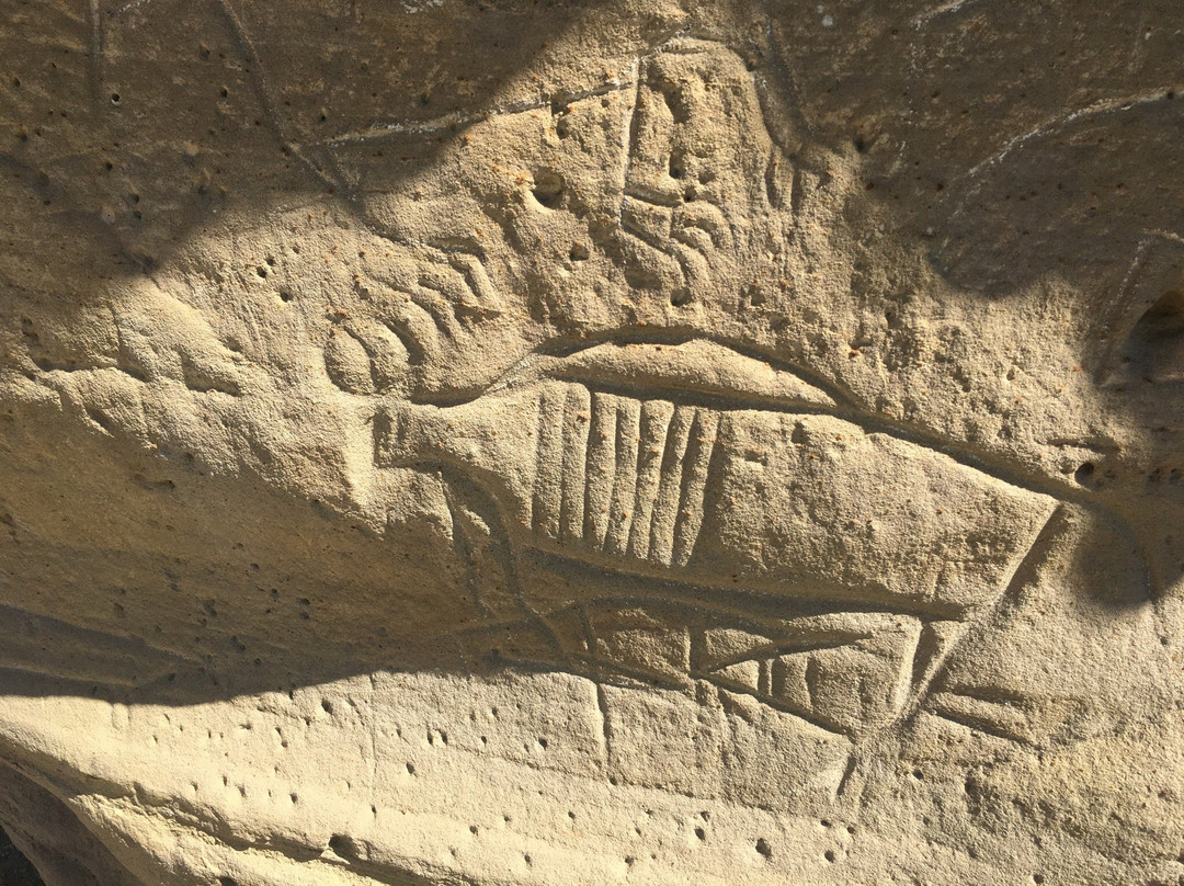 White Mountain Petroglyphs-Rock Springs必去景点