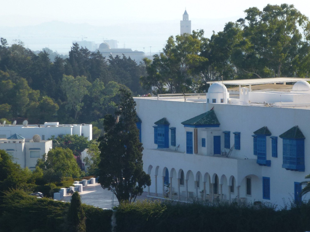 Centre des Musiques Arabes et Mediterraneennes-蓝白小镇必去景点