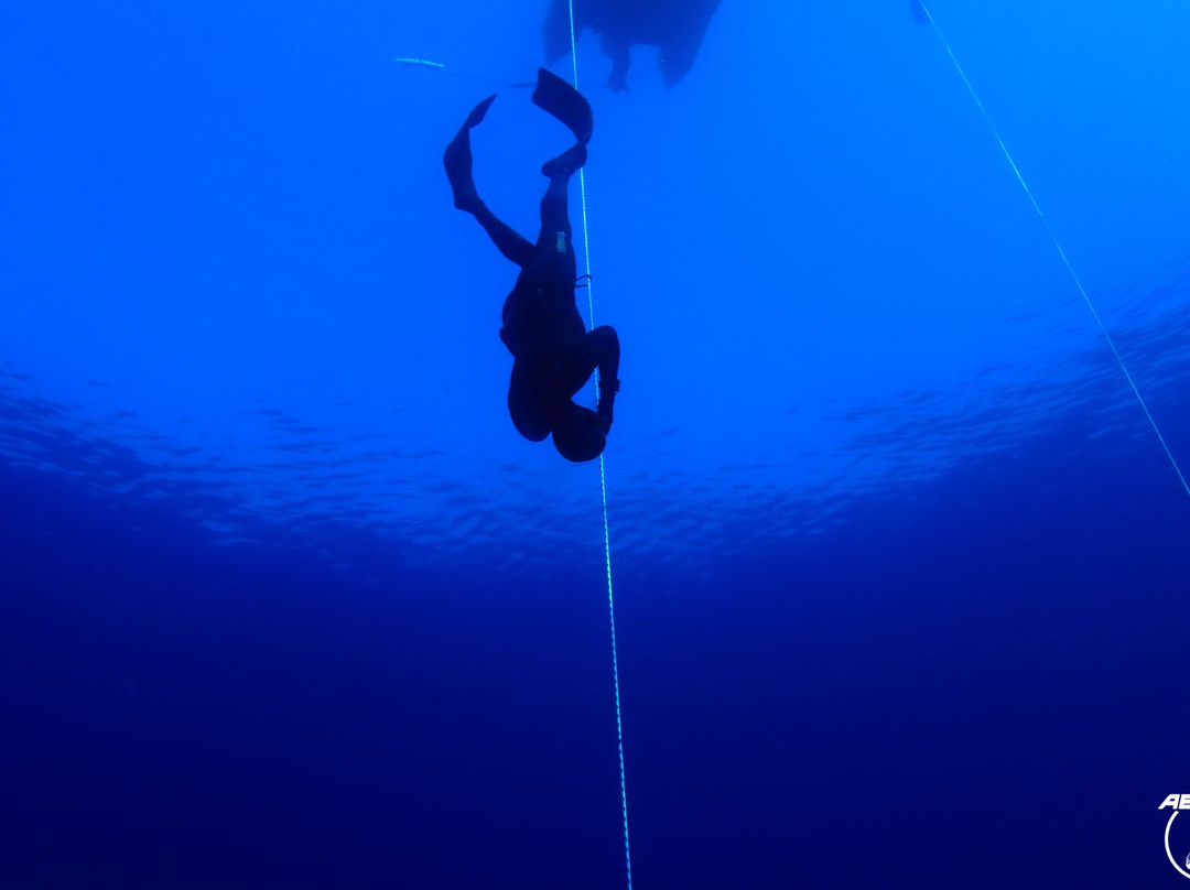 Abyss Garden-拉西奥塔必去景点