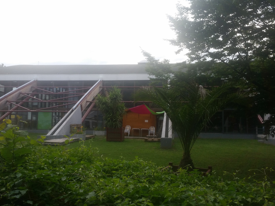 Piscine Olympique Alfred Nakache景点图片