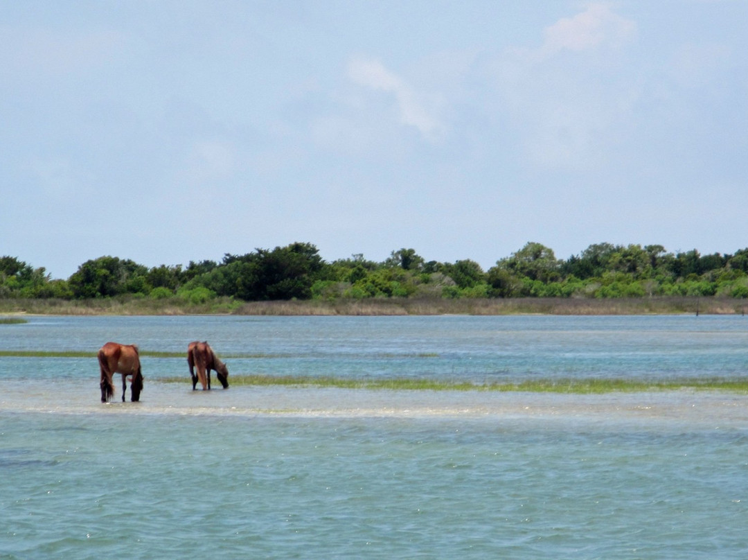 Cedar Island National Wildlife Refuge景点图片