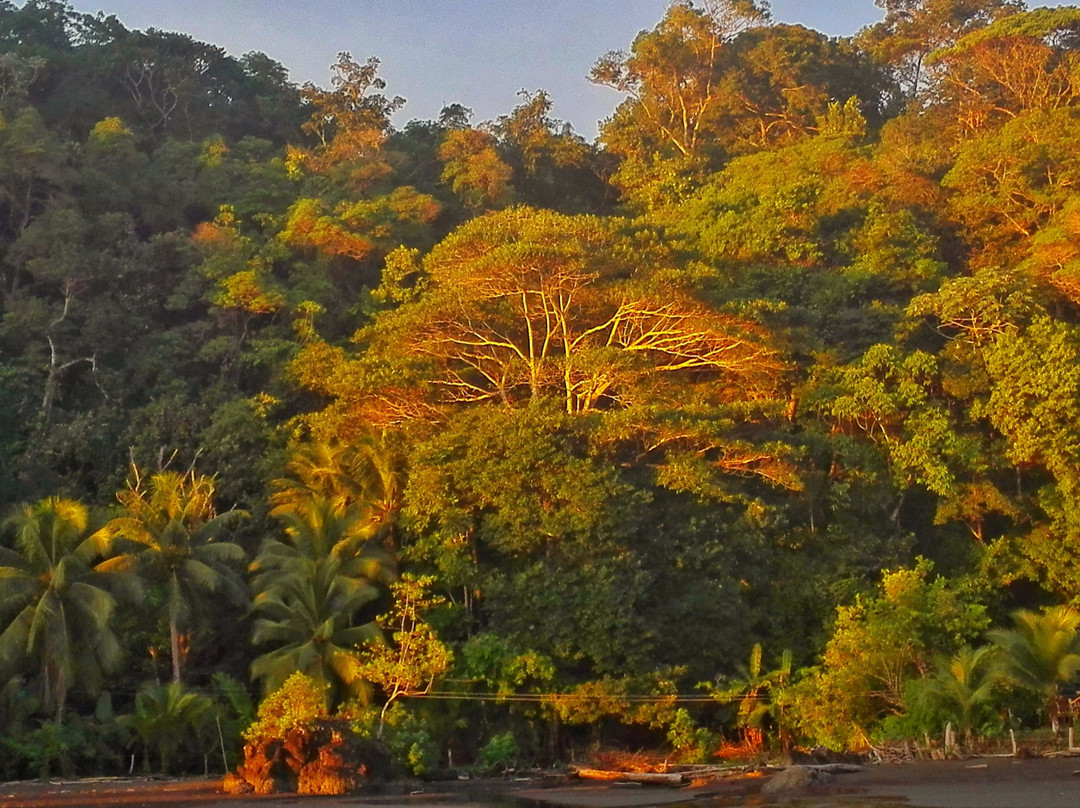 null-Bahia Solano