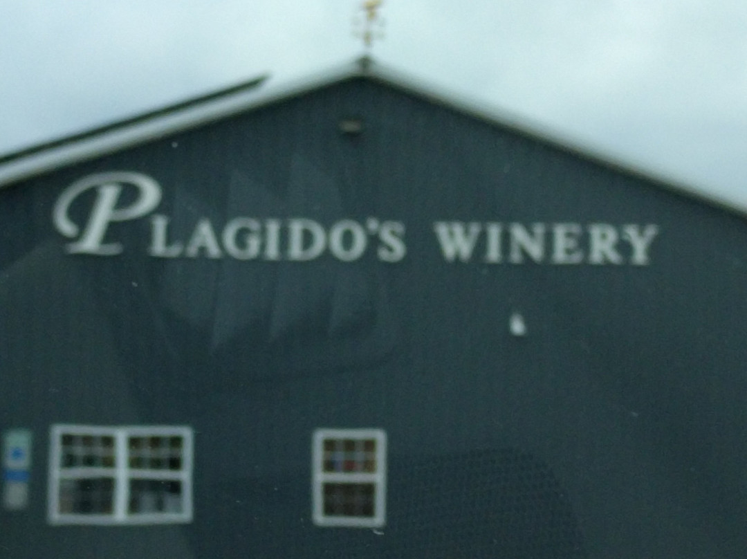 Plagido's Winery-Hammonton必去景点