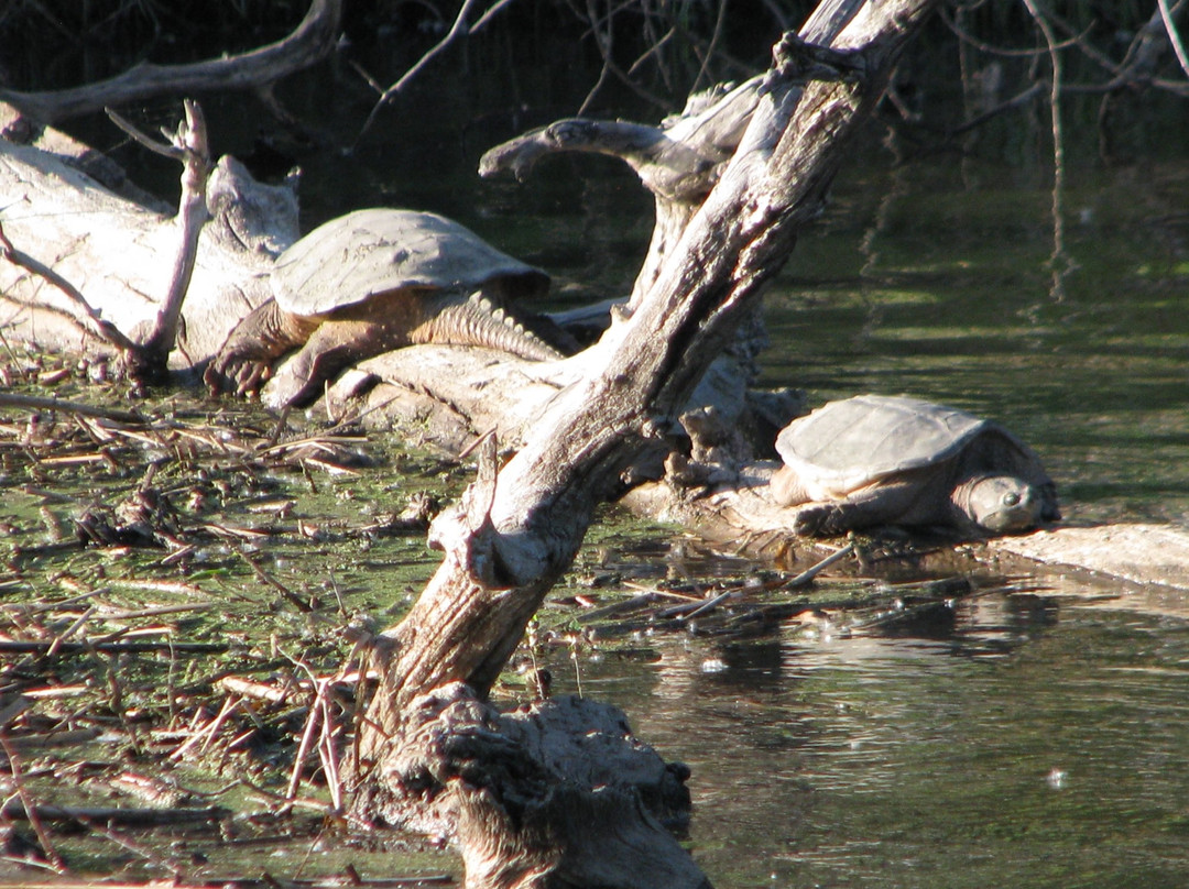 Poudre River Trail-格里利必去景点