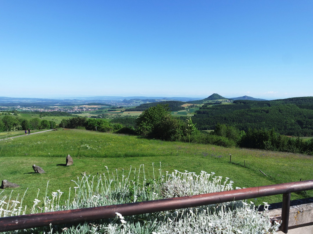Hegaustern