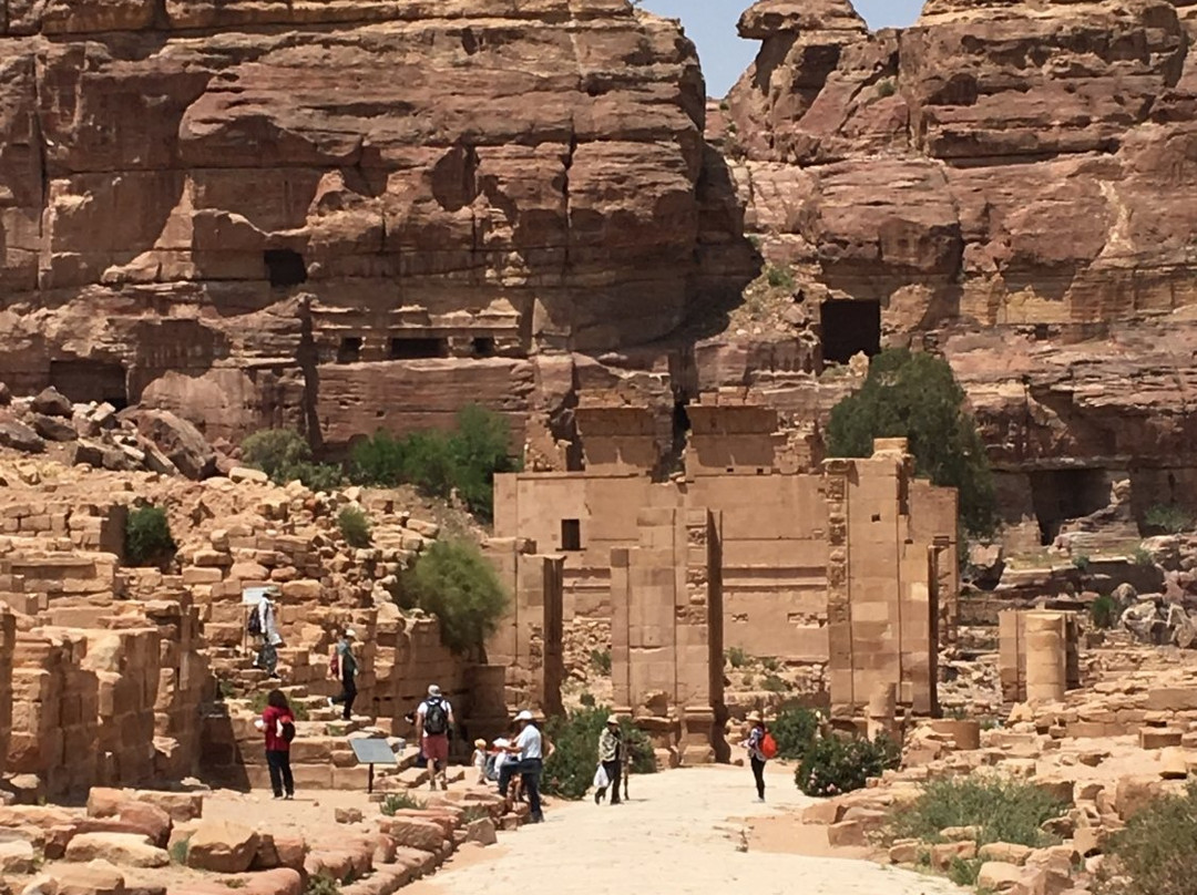 Best Shore Trips - Private Tours景点图片
