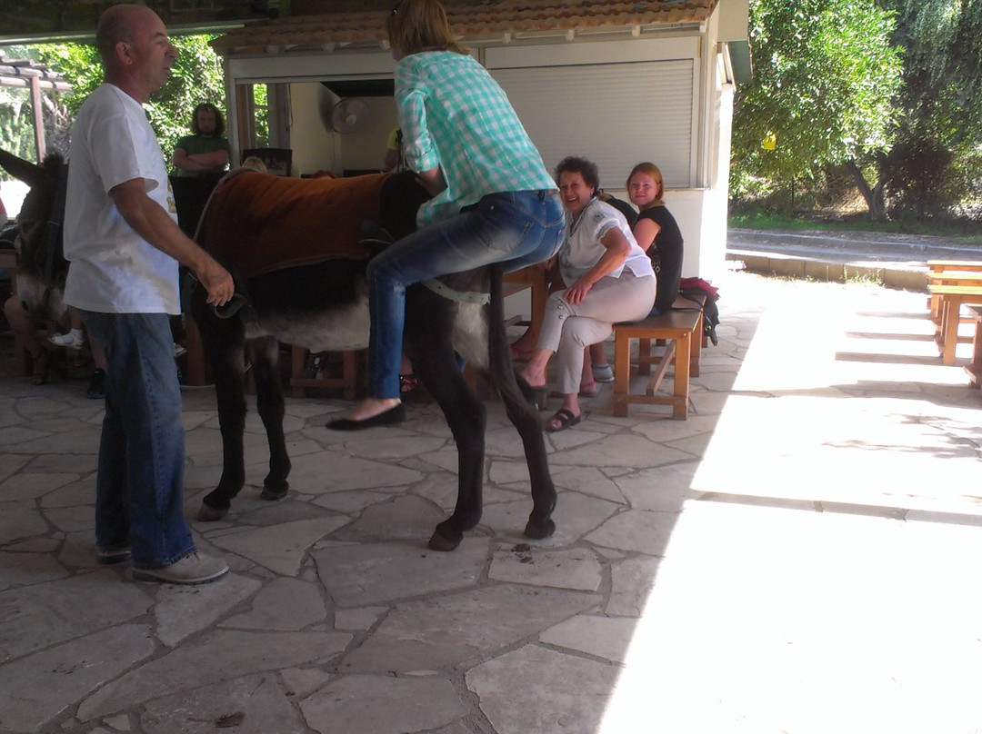 Dipotamos Donkey Farm景点图片