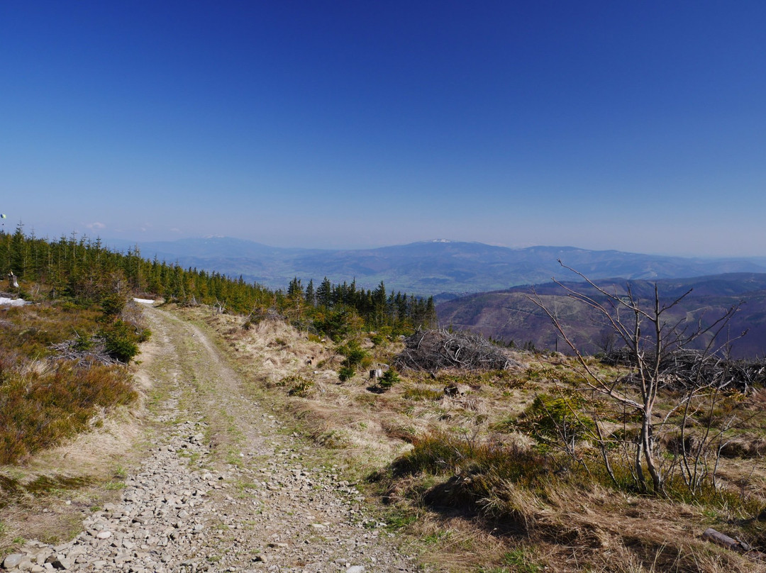 Park Krajobrazowy Beskidu Śląskiego/Beskid Śląski landscape park景点图片