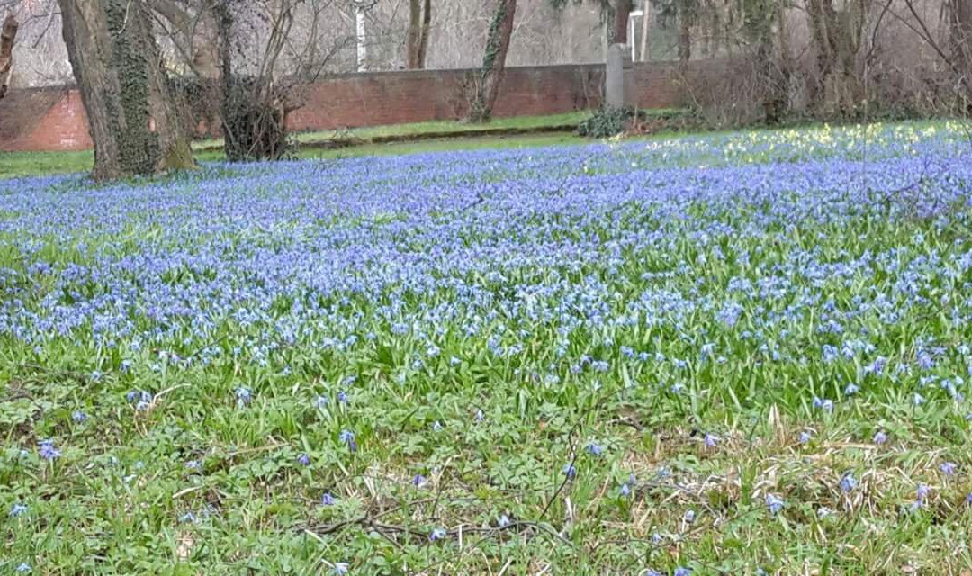 Lindener Bergfriedhof-汉诺威必去景点