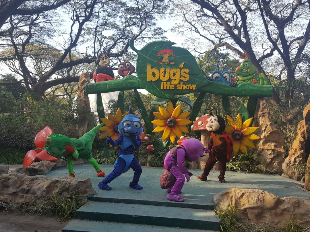 Insectlandia景点图片