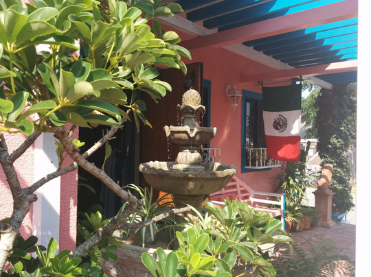 メキシコ料理 アル パライソ