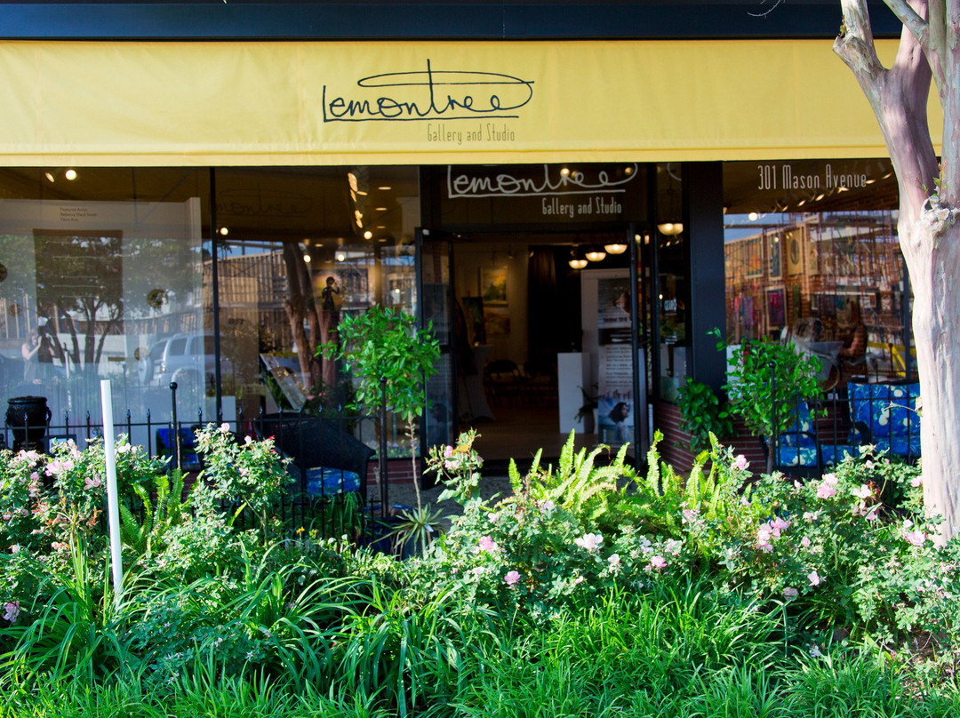 The Lemon Tree Gallery and Studio景点图片