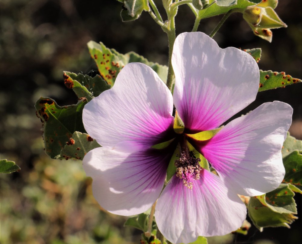 Washington Park-里弗赛德必去景点