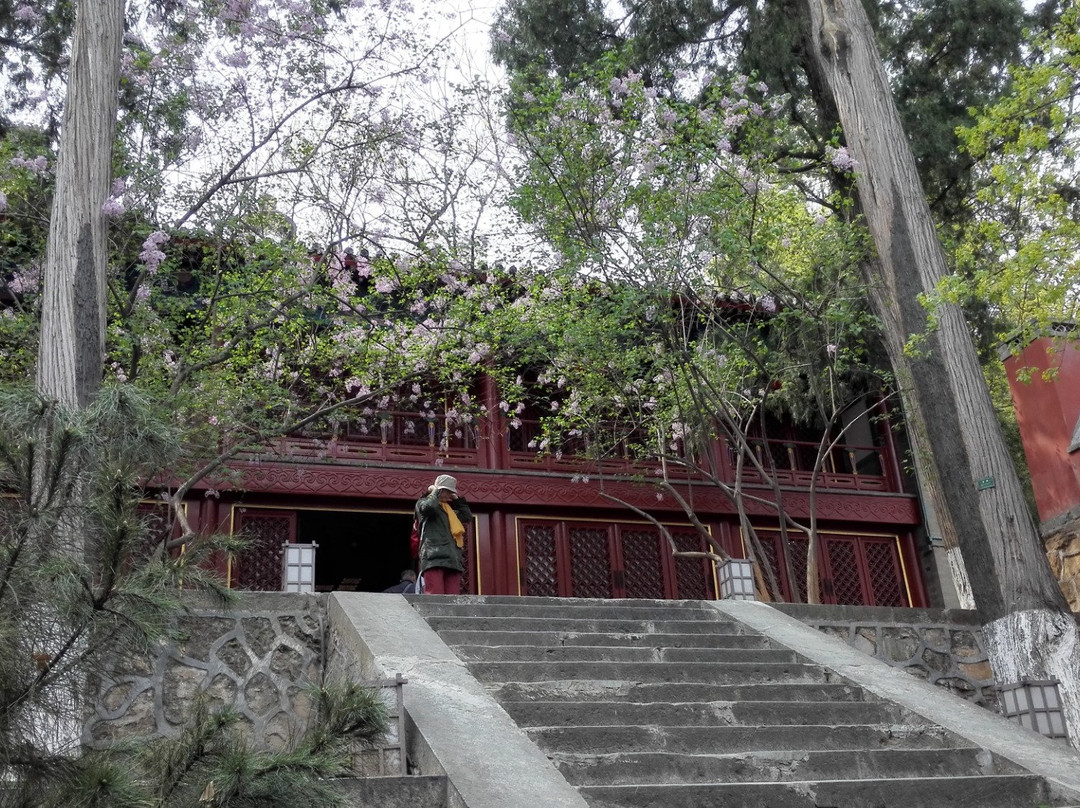 大觉寺-北京市必去景点