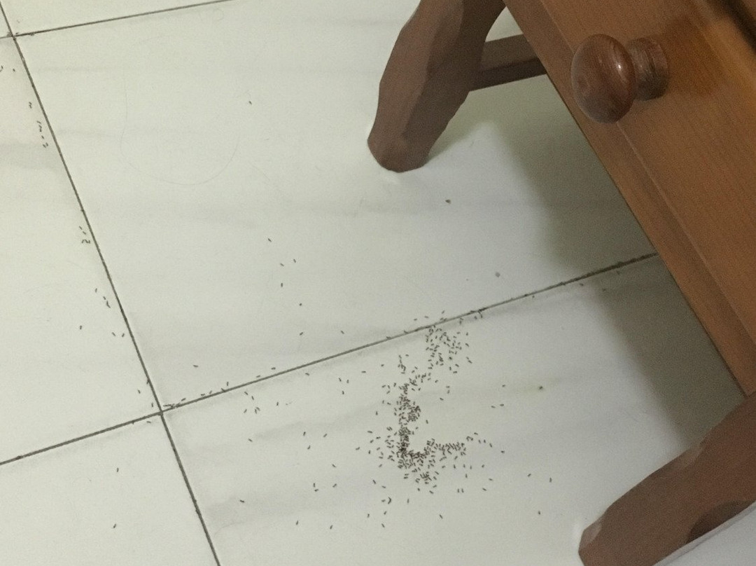 卡洛斯三世旅馆及餐厅主图