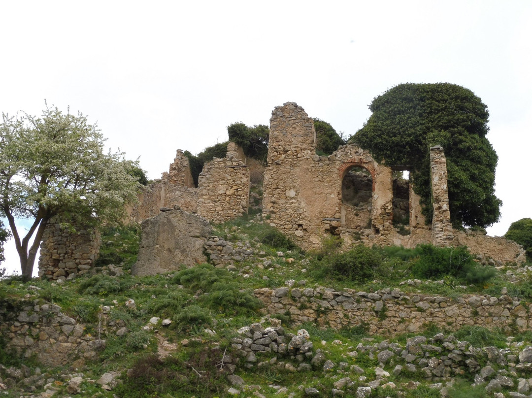 Riserva naturale orientata Pizzo Cane, Pizzo Trigna e Grotta Mazzamuto景点图片