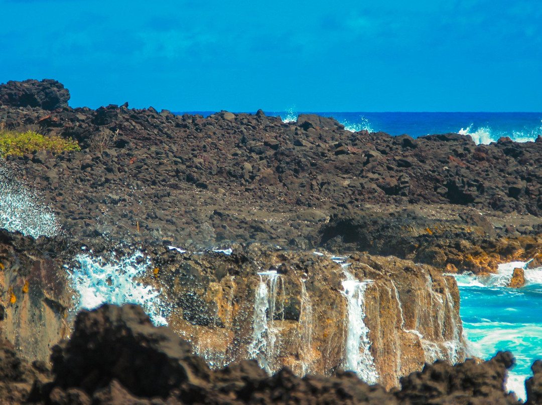 Pahoa Pool-帕霍亚必去景点