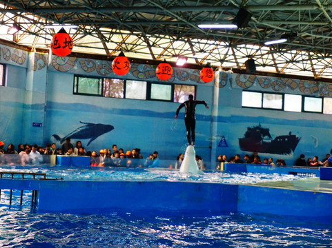 杭州极地海洋世界-杭州市必去景点