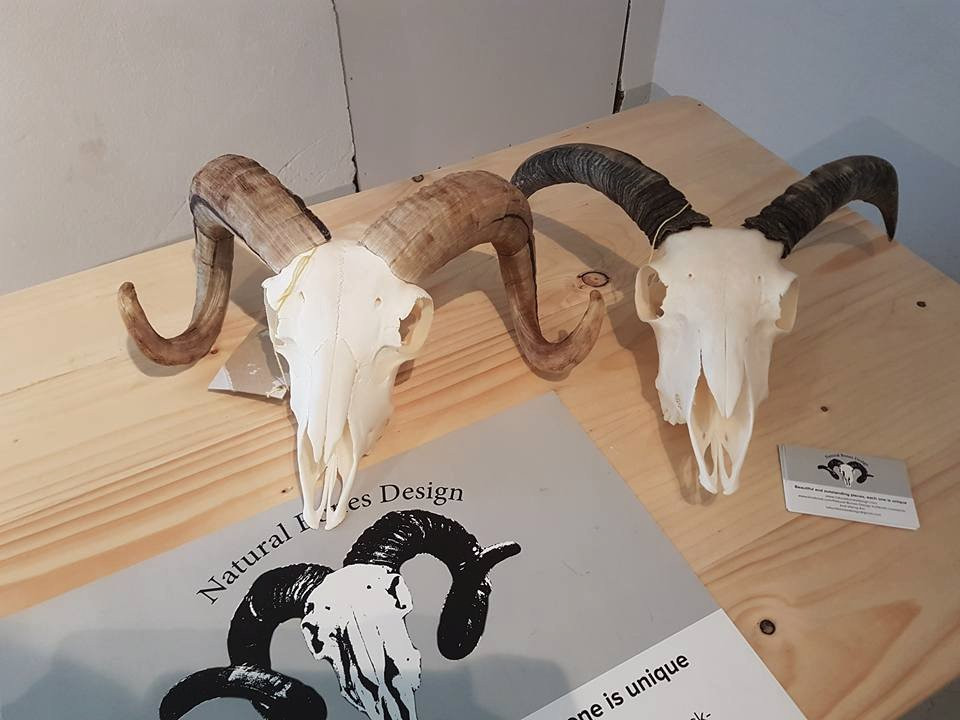 Verzlunin Aegissida-华姆斯唐吉必去景点