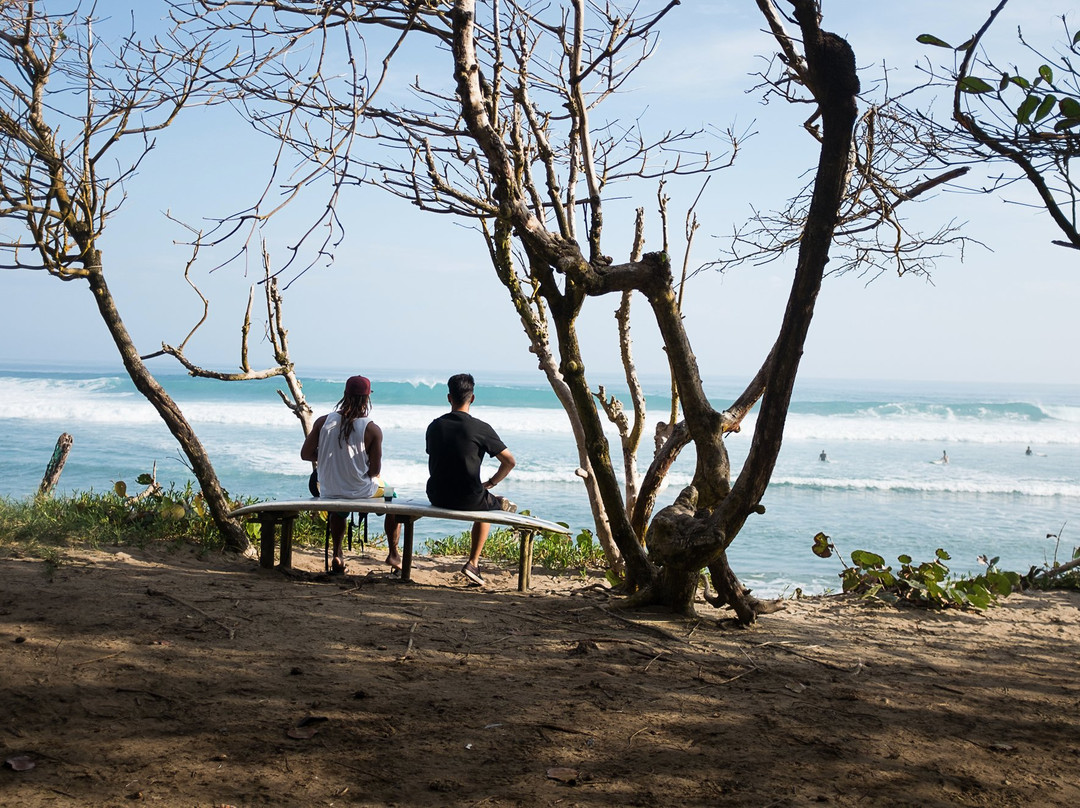 Vibez Surf Club-喀巴里特必去景点