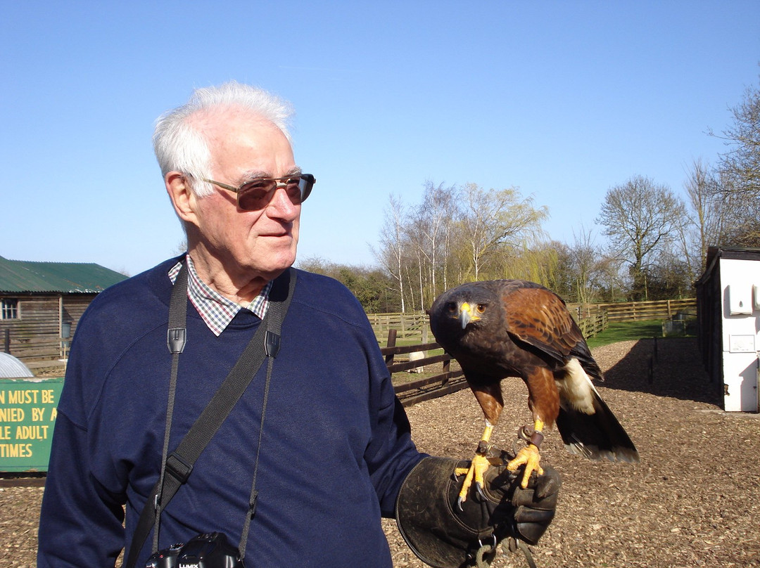 Rushmoor Farm Park and Falconry Centre景点图片