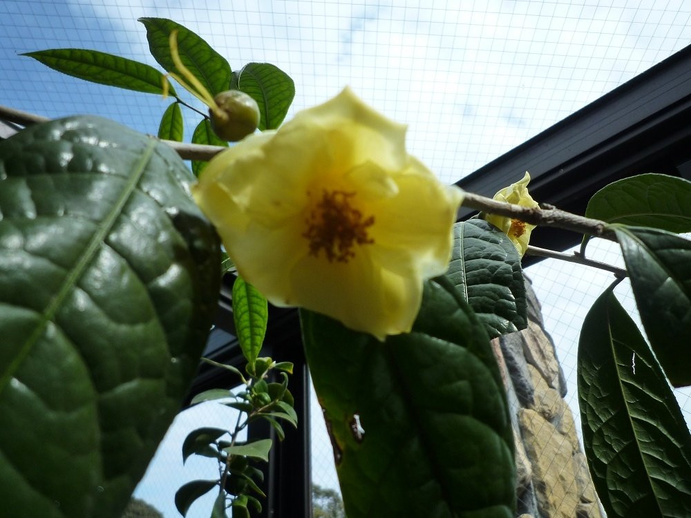 Oshima Park-大岛町必去景点