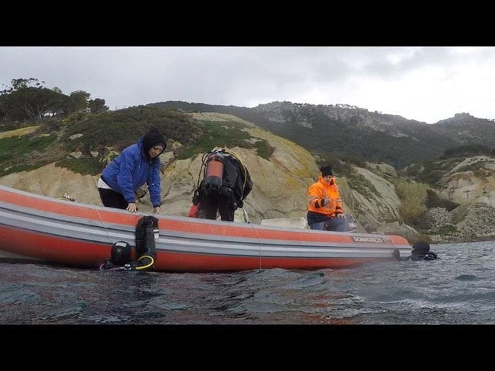 Max Shark Diving-Isola del Giglio必去景点