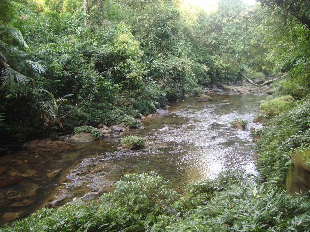 Mawlynnong Waterfall景点图片