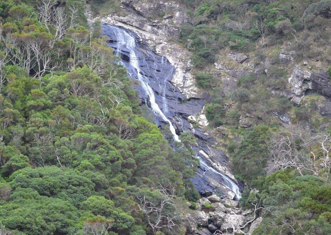 阿波罗湾旅游景点-Carisbrook Waterfall