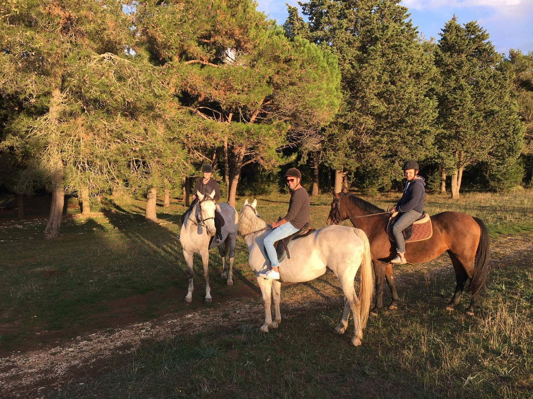 Horse Riding Zadar-扎达尔必去景点