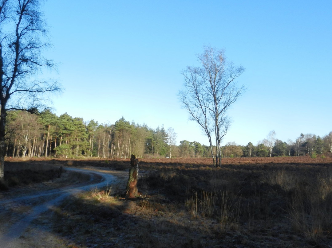 Emst旅游景点-Renderklippen natuurgebied