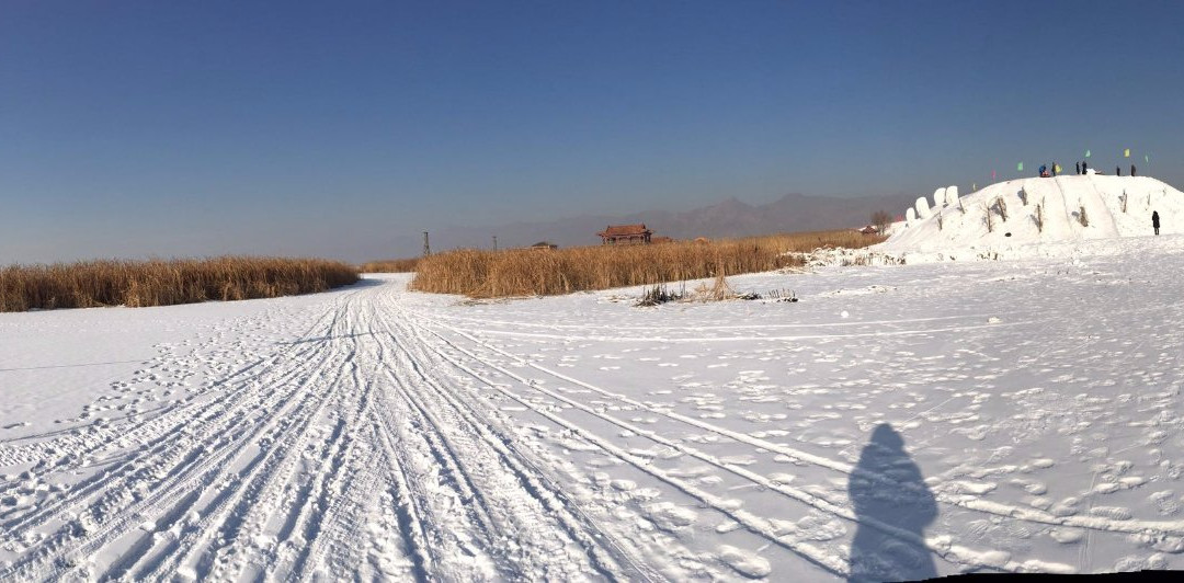 哈素海-土默特左旗必去景点