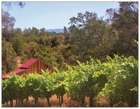 Westbrook Wine Farm-O Neals必去景点