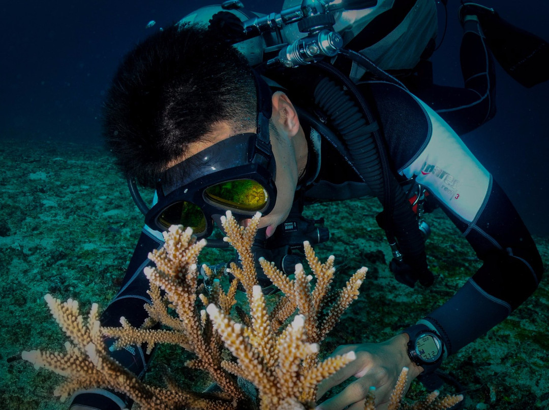 Livingseas Bali-登巴萨必去景点