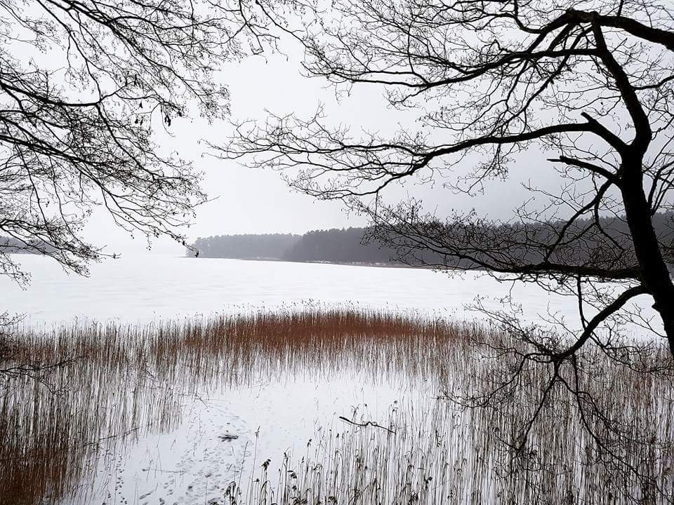 Warmia Park主图