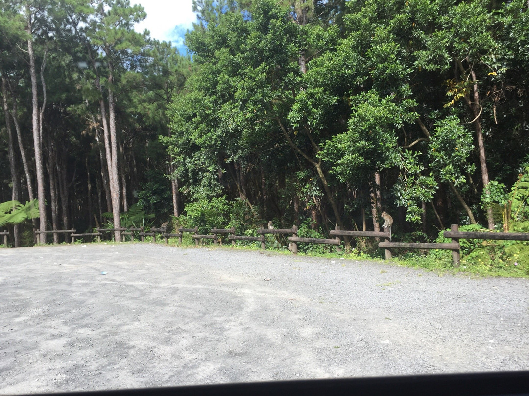 Sophie Nature Walk-Vacoas必去景点