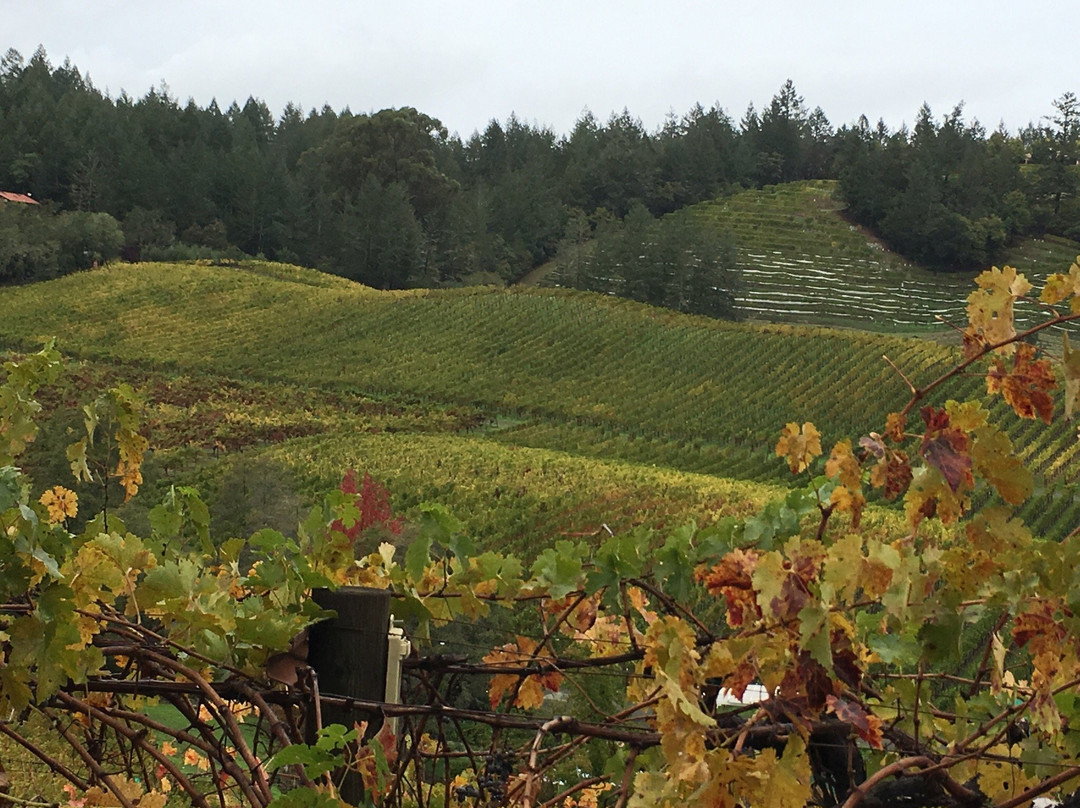 Diamond Creek Vineyards-卡利斯托加必去景点