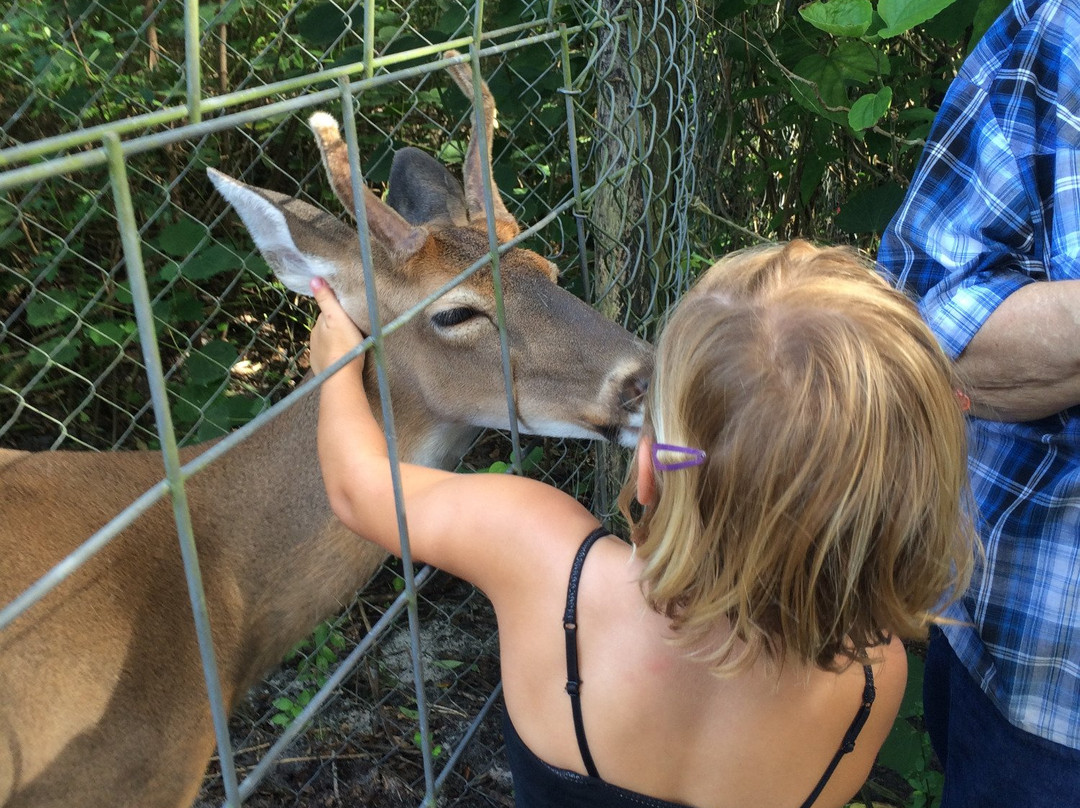 Lions, Tigers & Bears-阿卡迪亚必去景点