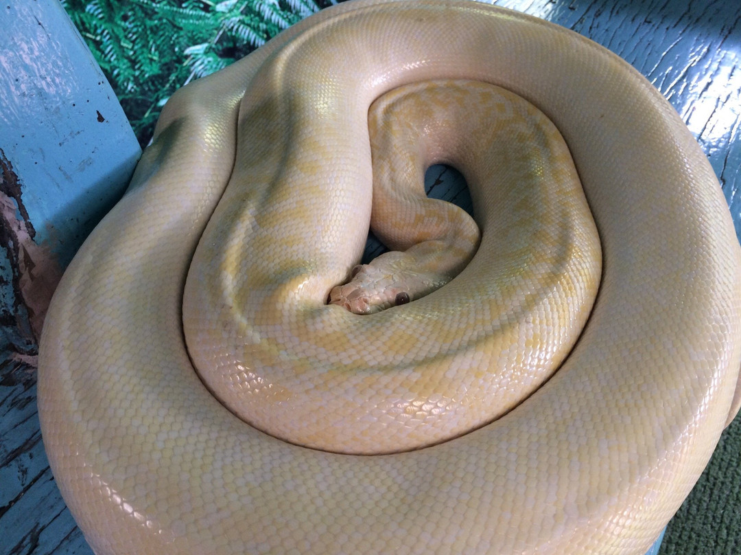 Ark Avilon Zoo-巴石必去景点