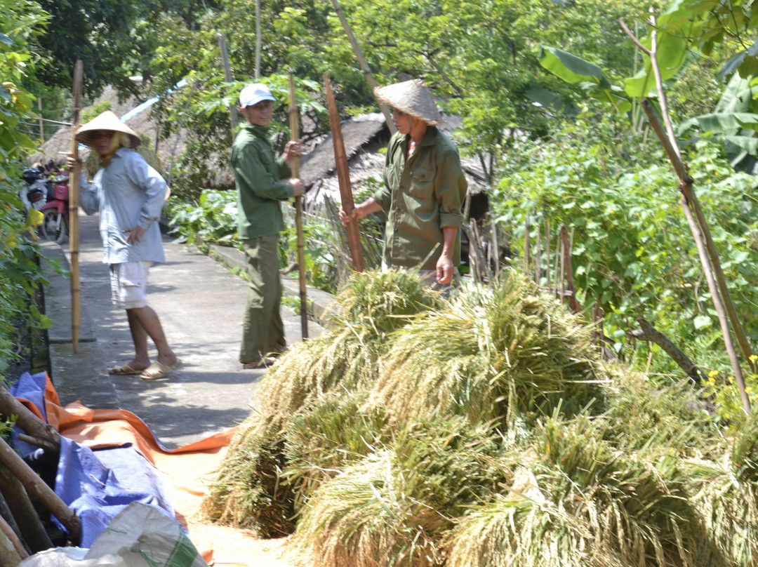 Giang Mo Village-Hoa Binh必去景点