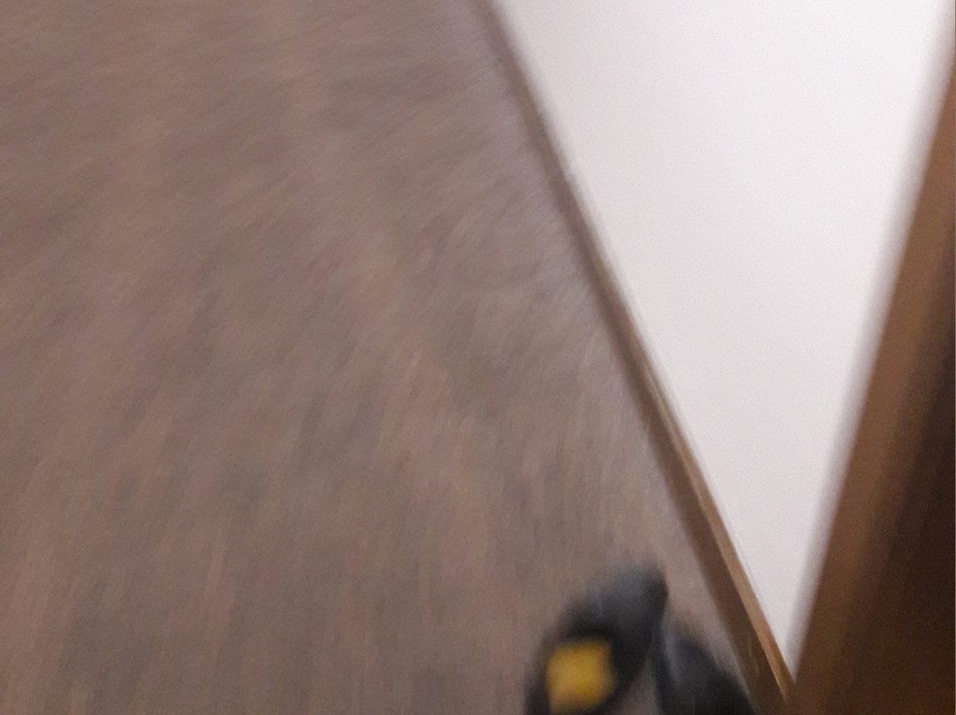 Hotel Srebrna Lisica主图