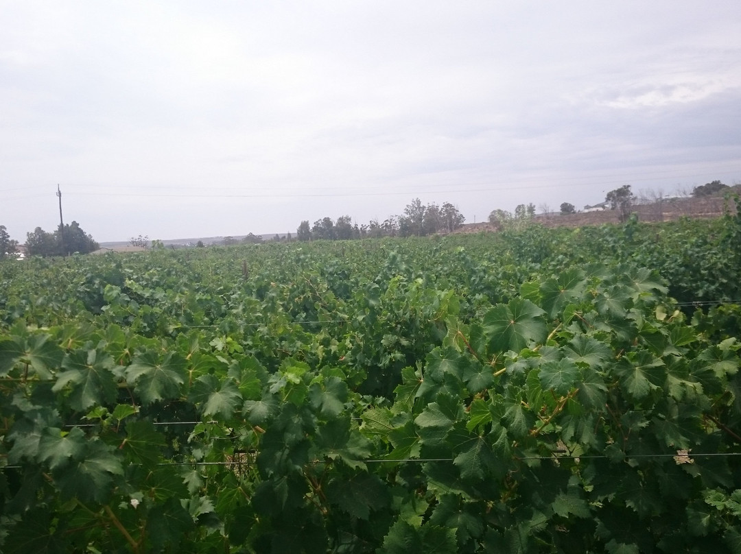 Lemoenkloof Accommodation主图