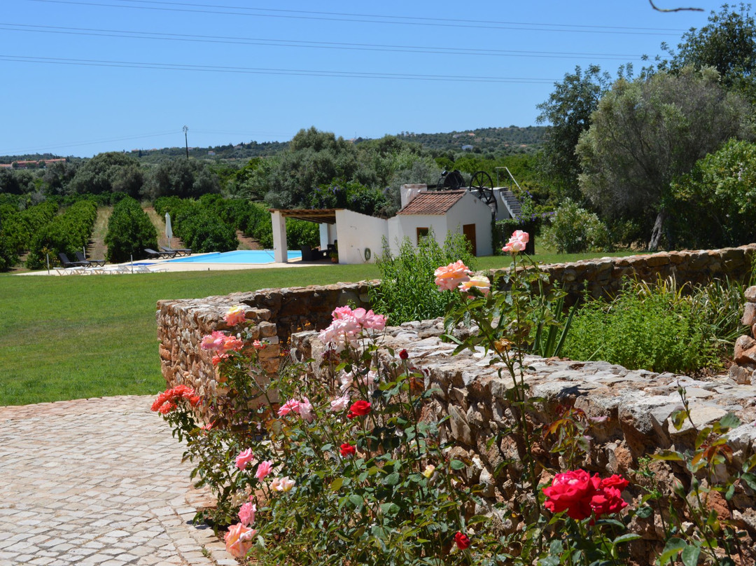 Quinta da Mesquita主图