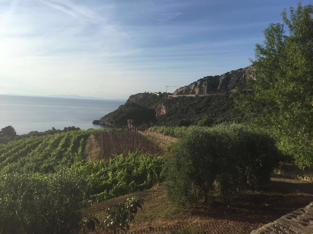 Azienda Agricola F.lli Osio景点图片