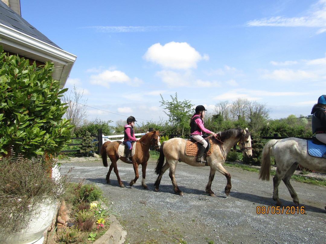 Boskill equestrian/Trekking Homestay景点图片