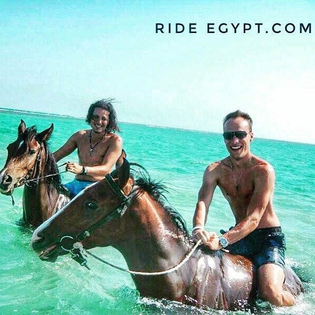 Hurghada Equestrian-马卡迪湾必去景点