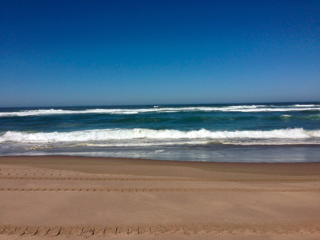 Steve's ATV-North Bend必去景点