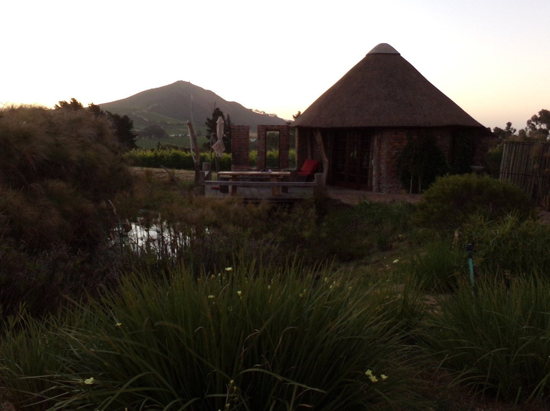 Mont Destin Wines-斯泰伦博斯必去景点