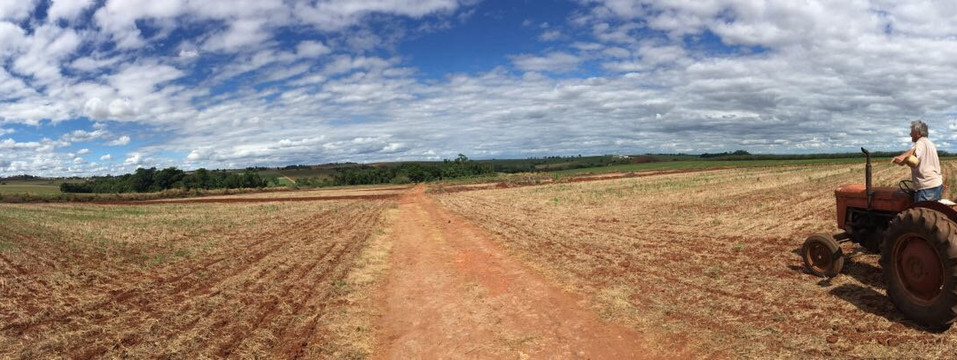 Casa Müller-Londrina必去景点