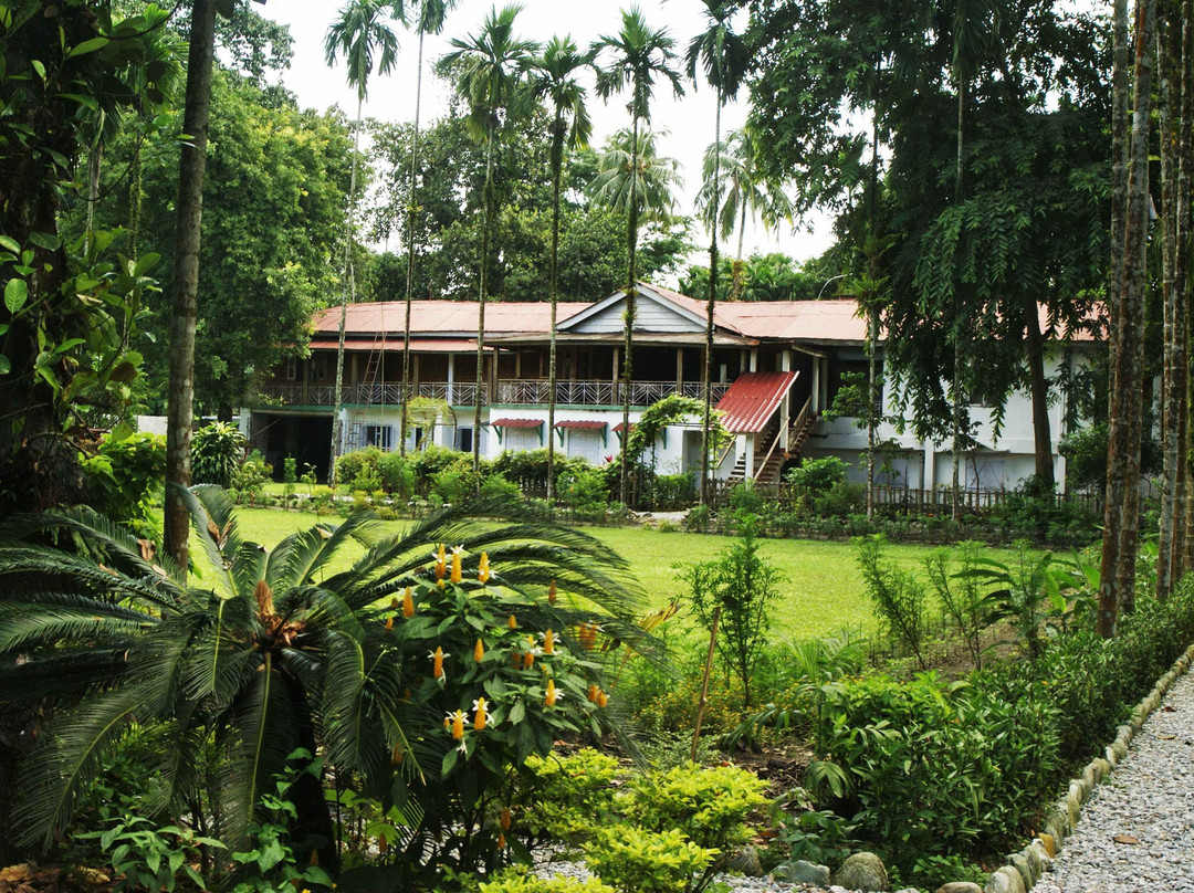 Manabari Greens